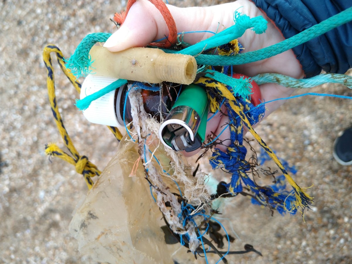 Southsea Swimrun and the Environment